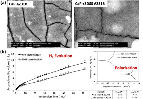 A Surface Morphologies Of Cap Coating On Az31b Alloys With And