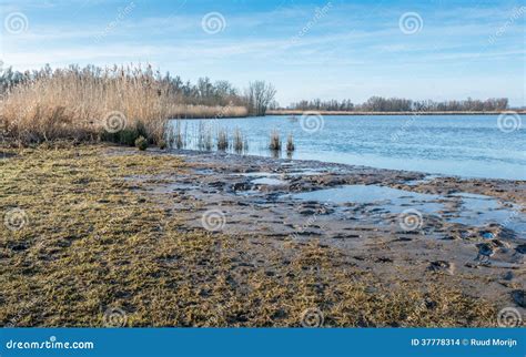 Close Up Of The Muddy Banks Of A Natural Lake In Wintertime Stock