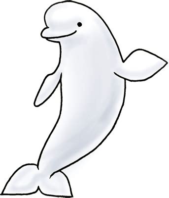 Whale Clipart Black And White | Free download on ClipArtMag