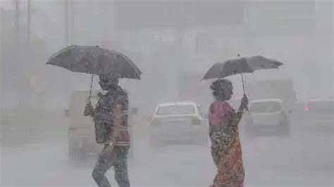 Heavy Rain And Thunderstorms Expected In 9 Districts Of Tamil Nadu