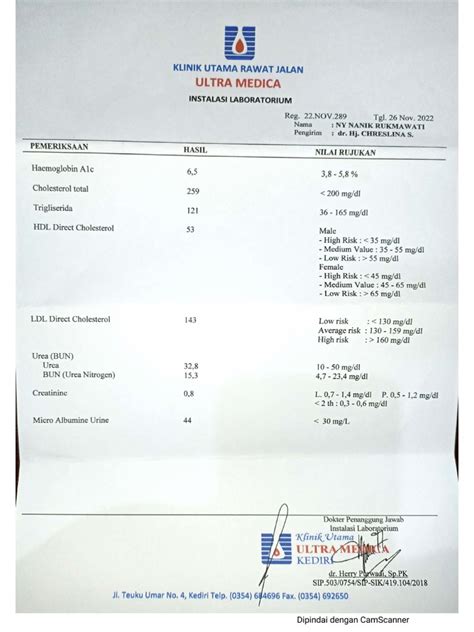 Hasil Pemeriksaan Hba1c 26 11 22 Pdf