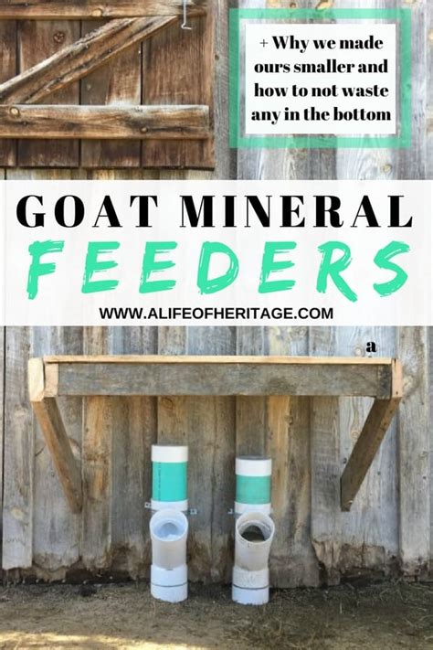 Easy DIY Goat Mineral Feeder For Healthy Goats!