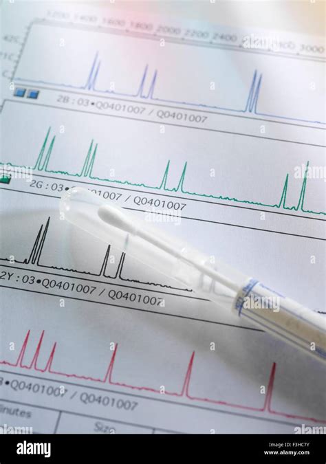 swab  dna sample  res stock photography  images alamy