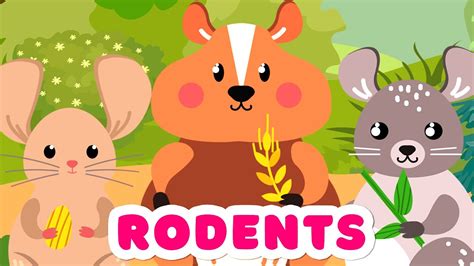 Animals For Kids Rodents Animal Names And Sounds Youtube