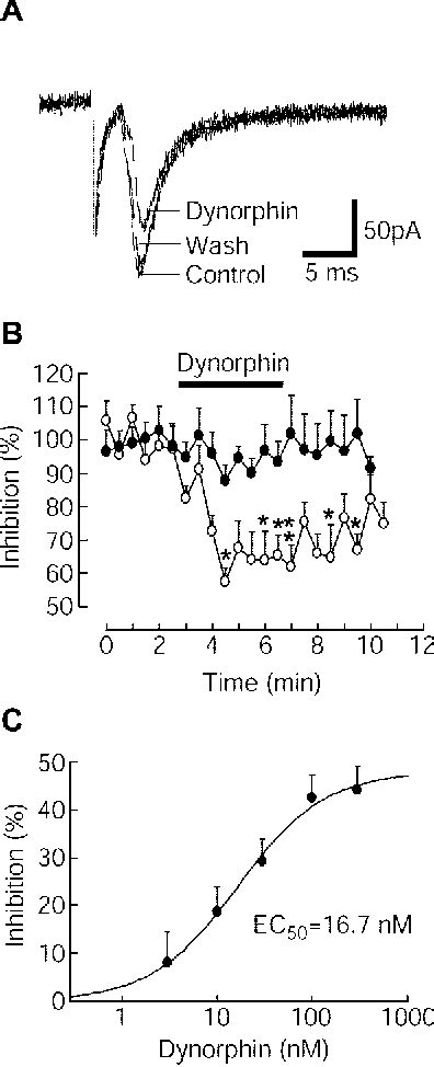 Figure 2 From Presynaptic Mechanism For Anti Analgesic And Anti