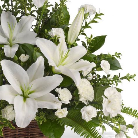 Peaceful White Lilies Basket Lifestyle Ishop