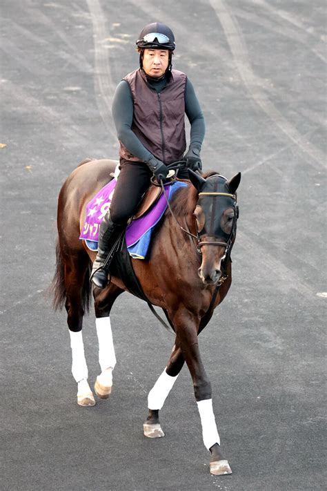 【注目馬動向】シャフリヤールは2年連続でbcターフ参戦へ 昨年3着のリベンジを目指す Umatoku 馬トク