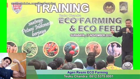 Apa Itu Eco Farming Dan Bagaimana Cara Kerjanya Ini Penjelasan Lengkapnya Youtube