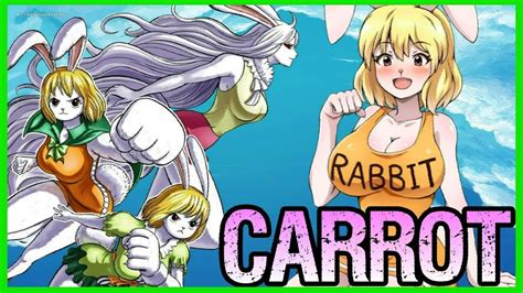 Bunny Mink Carrot One Piece Character Discussion Tekking101 Youtube