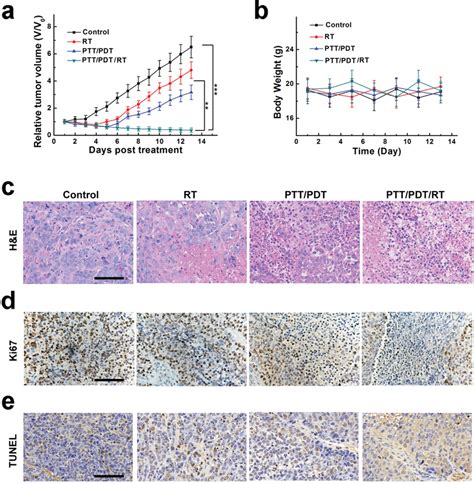 In Vivo Antitumor Efficacy A Tumor Volume Profiles Of Different