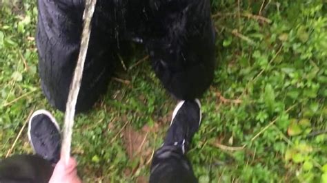 Free Leather Piss Gay Porn Videos XHamster