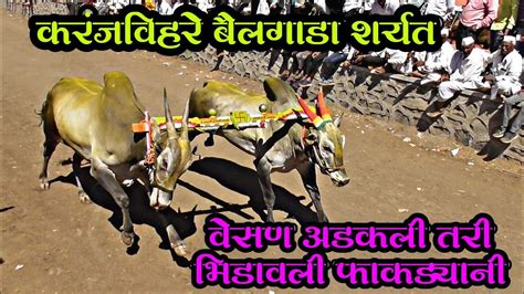 Bailgada Sharyat Live सदाशिव महिपती लांडगे ११५९ मिली Youtube