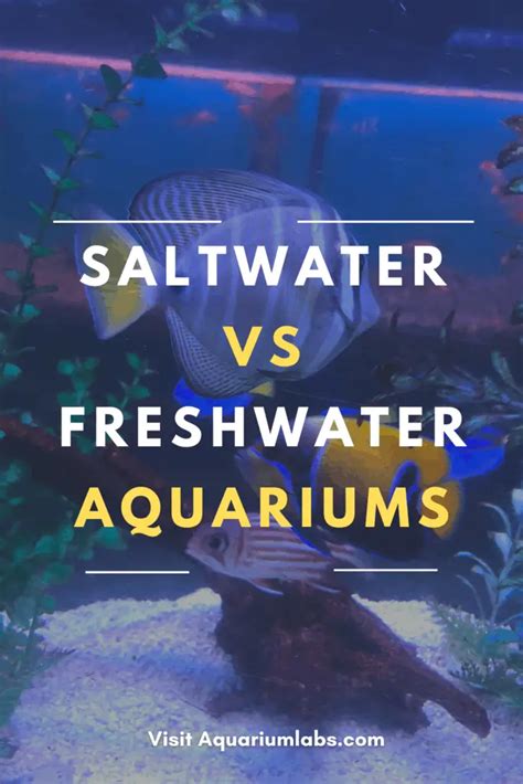 Saltwater Vs Freshwater Aquarium Pros And Cons Of Both