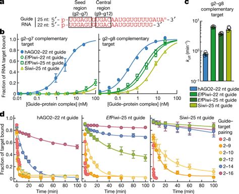 Pirnas Are More Selective Than Mirnas A The Guide Rnas Used In This