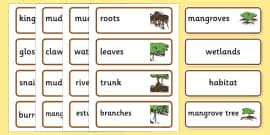 Australian Mangrove Habitat Word Mat Teacher Made Twinkl