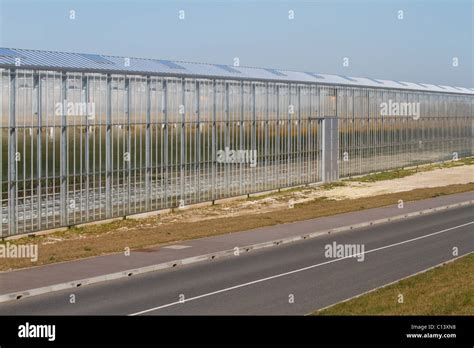 Thanet earth greenhouses hi-res stock photography and images - Alamy