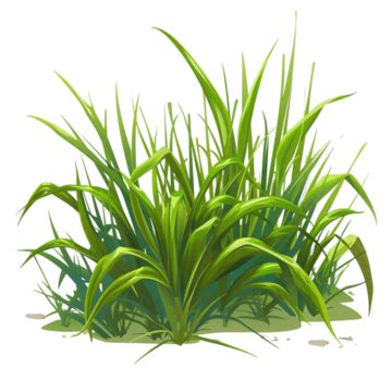 35 Vector Cartoon Grass Png Images