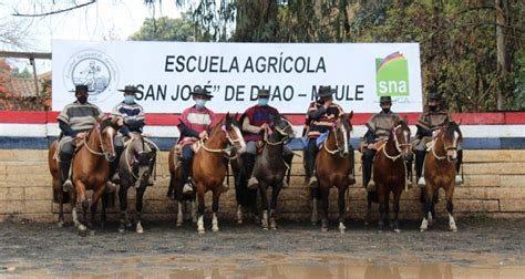 Nacionales Sna Educa De Rodeo Y Folclor Se Vivir N Durante Abril En