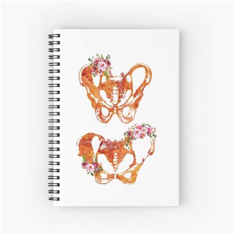 Cuaderno De Espiral Huesos Masculinos Y Femeninos De La Pelvis De