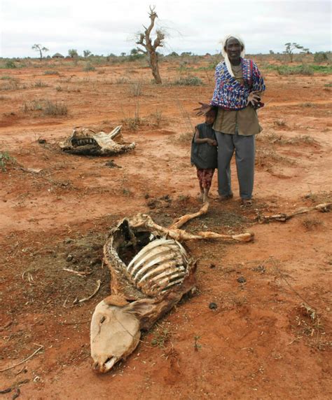 Siccità nel Corno d Africa le impressionanti immagini di una carestia