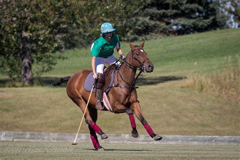 Calgary Polo Club 2019 September 22 Tallhuskymike Flickr