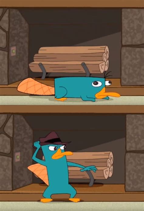 Perry The Platypus Meme