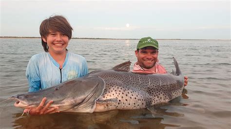 Fotos Y Video Pescaron Un Surub Gigante Y Lo Devolvieron Al Agua