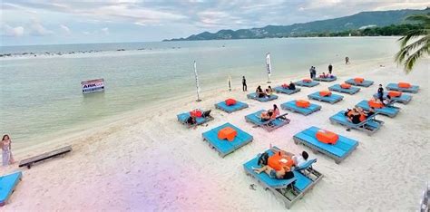 Ark Bar Beach Resort Het Populaire Strandresort Op Koh Samui