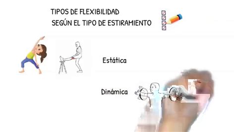 La Flexibilidad Estática Y Dinámica Youtube