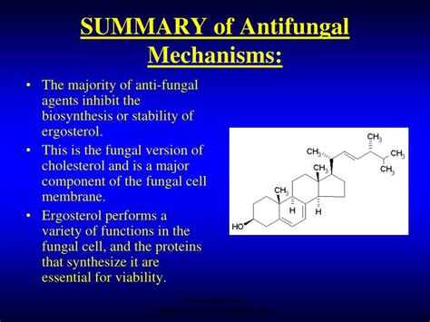 Ppt Antifungal Drugs Powerpoint Presentation Id6634225