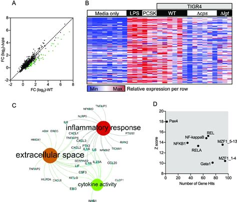 Whole Genome Transcriptomic Analysis Was Undertaken Of Mdms Incubated Download Scientific