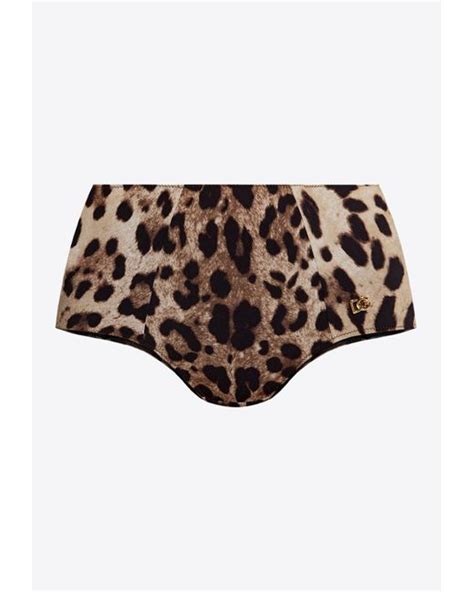 Dolce Gabbana Leopard Print Bikini Bottom In Brown Lyst