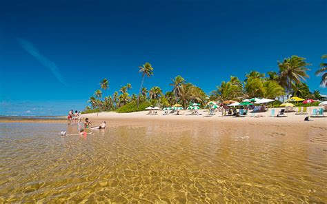 Oito Atra Es Imperd Veis Na Praia Do Forte Bahia