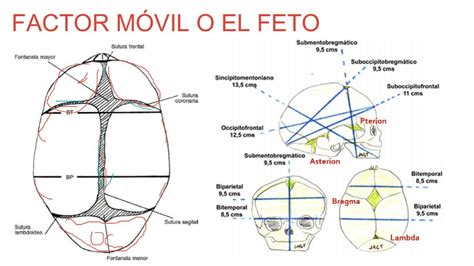 Factores Del Parto JUSSARA HUAMANTALLA HINOJOSA UDocz