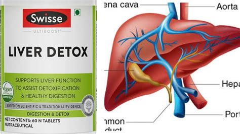 Swisse Liver detox tablet लवर क कस सह रखत य samjhiye YouTube