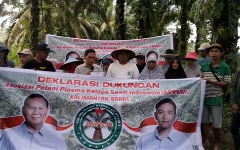 Dukung Prabowo Gibran Petani Sawit Kalbar Deklarasi Pemenangan