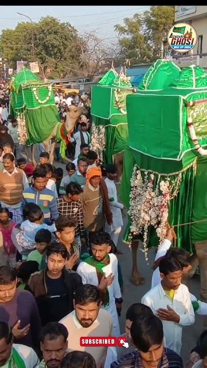 जुलूसे अमारी Juloos E Amari Safar E Imam Husain 28 Rajab 2024