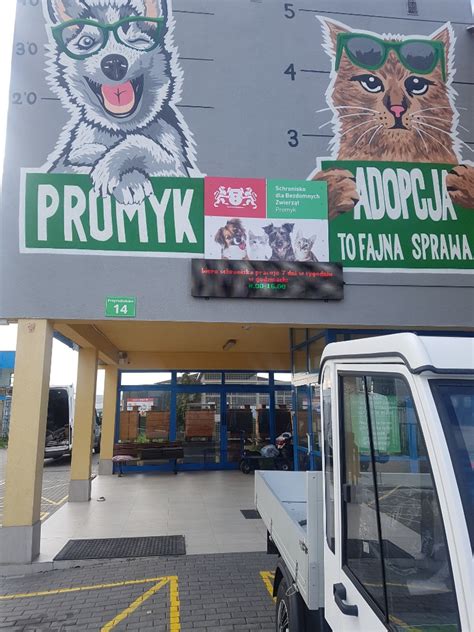 Wizyta dzieci ze świetlicy w schronisku Promyk Szkoła Podstawowa nr