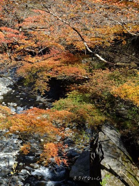 秩父市 中津川・中津峡の紅葉part1 2011年11月 インフォメーション