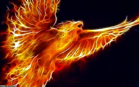 Phoenix Mythical Creatures Guide Mythical Phoenix Hd Wallpaper Pxfuel