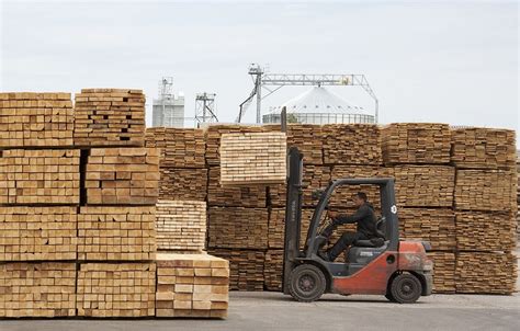 Russian Timber Exports In Expectations And Reality