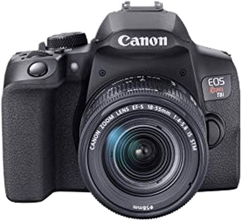 Best Canon Cameras For Beginners In