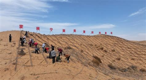 鄂托克前旗：坚决打赢黄河“几字弯”毛乌素沙地攻坚战央广网