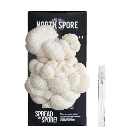 North Spore - Mushroom Grow Kit « Terry's Natural Market