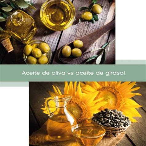 Top 40 Imagen Que Es Mejor Aceite De Girasol O De Oliva Abzlocalmx