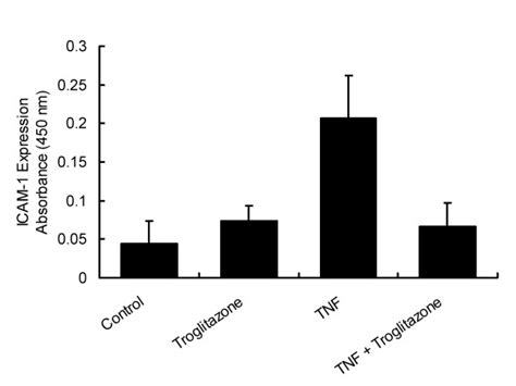 TNF α induced ICAM 1 protein expression is reduced by troglitazone a