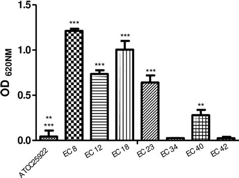 Figure From Inhibitory And Bactericidal Activities Of Lippia