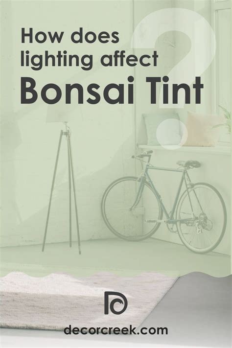 How Does Lighting Affect Sw Bonsai Tint Paint Color In