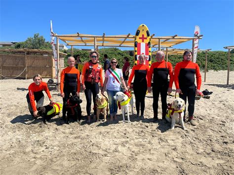 Quei Cani Eroi Che Salvano Persone Castiglione Della Pescaia E I