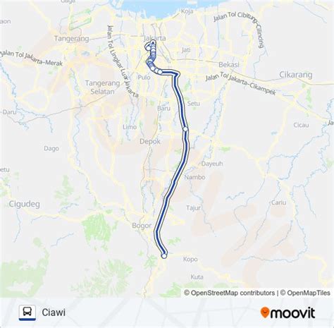 Rute Transjabodetabek Ciawi Tanah Abang Jadwal Pemberhentian Peta